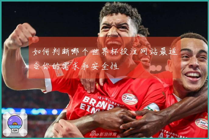 如何判断哪个世界杯投注网站最适合你的需求和安全性