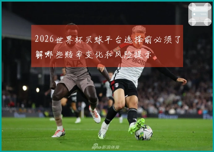 2026世界杯买球平台选择前必须了解哪些赔率变化和风险提示