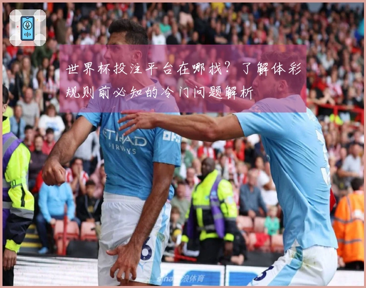 世界杯投注平台在哪找？了解体彩规则前必知的冷门问题解析