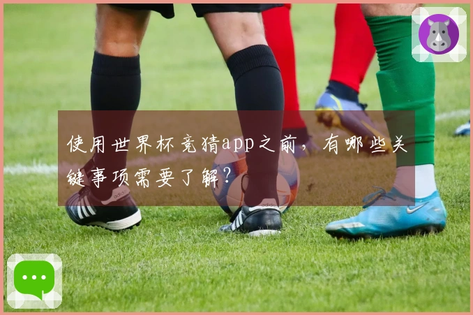 使用世界杯竞猜app之前，有哪些关键事项需要了解？