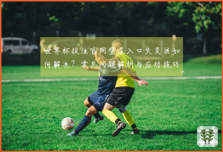 世界杯投注官网登录入口失灵该如何解决？常见问题解析与应对技巧