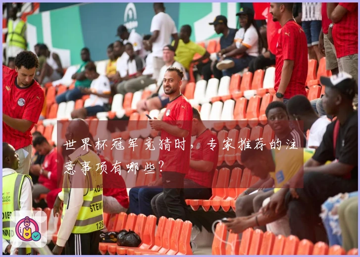 世界杯冠军竞猜时，专家推荐的注意事项有哪些？