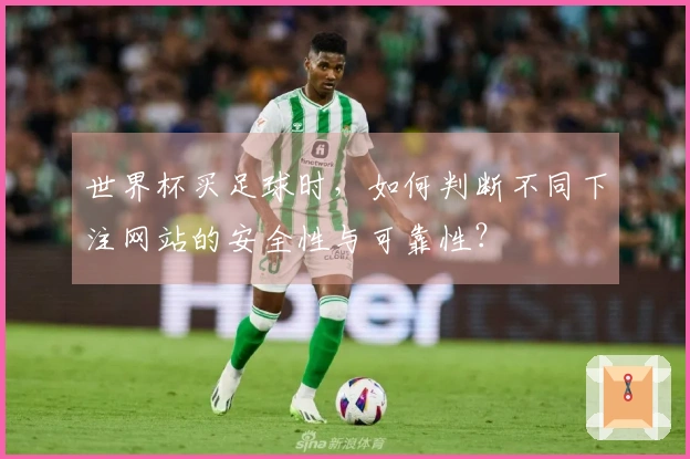 世界杯买足球时，如何判断不同下注网站的安全性与可靠性？