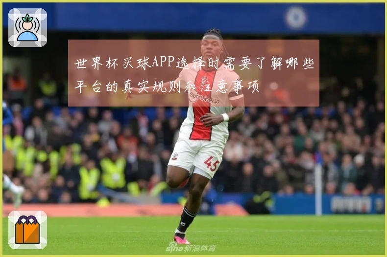 世界杯买球APP选择时需要了解哪些平台的真实规则和注意事项
