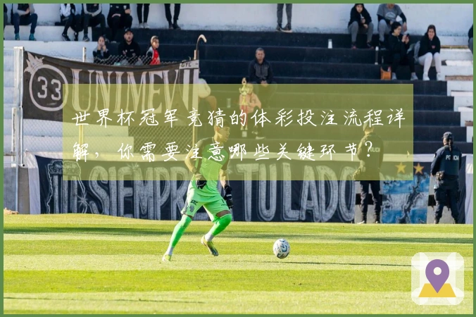 世界杯冠军竞猜的体彩投注流程详解，你需要注意哪些关键环节？