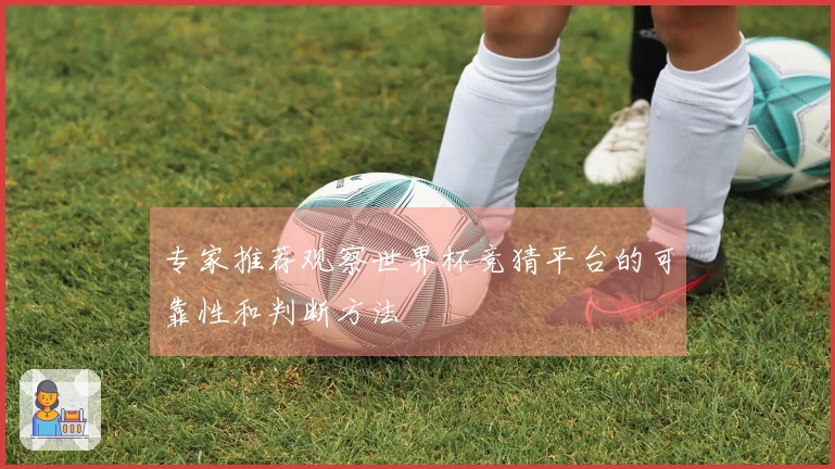 专家推荐观察世界杯竞猜平台的可靠性和判断方法