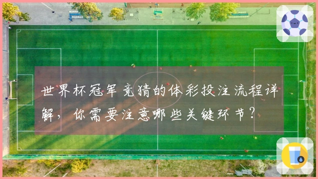 世界杯冠军竞猜的体彩投注流程详解，你需要注意哪些关键环节？