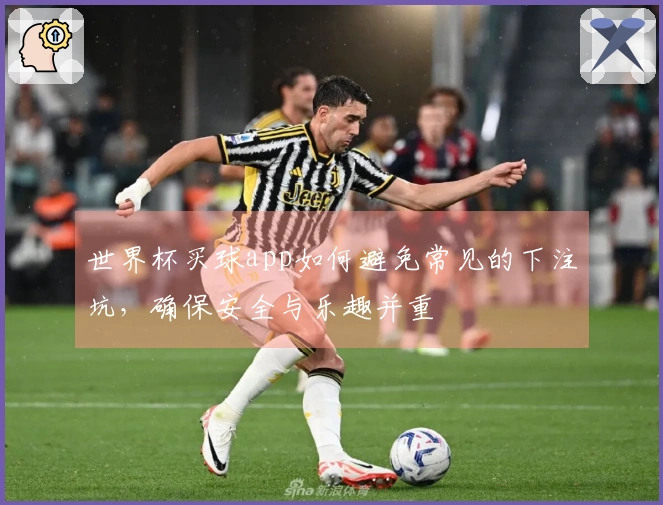 世界杯买球app如何避免常见的下注坑，确保安全与乐趣并重