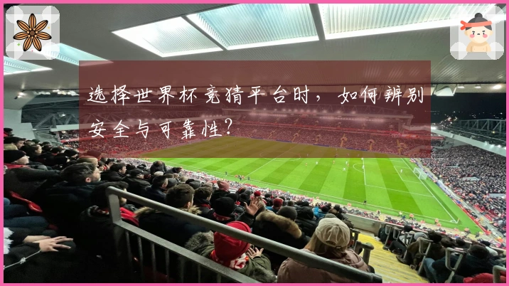 选择世界杯竞猜平台时，如何辨别安全与可靠性？