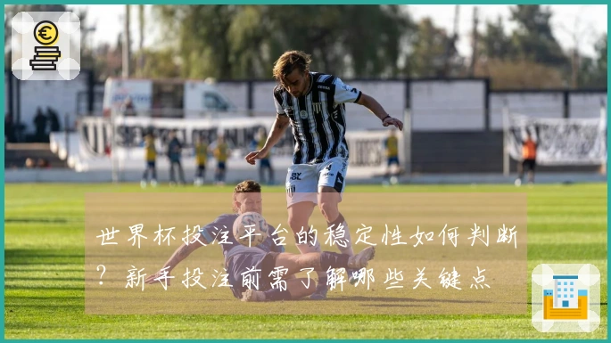 世界杯投注平台的稳定性如何判断？新手投注前需了解哪些关键点