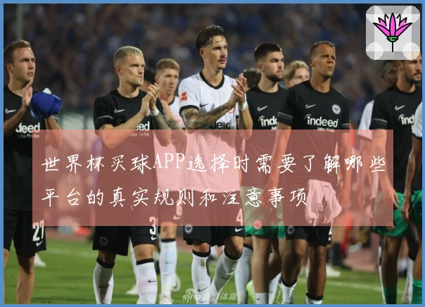世界杯买球APP选择时需要了解哪些平台的真实规则和注意事项