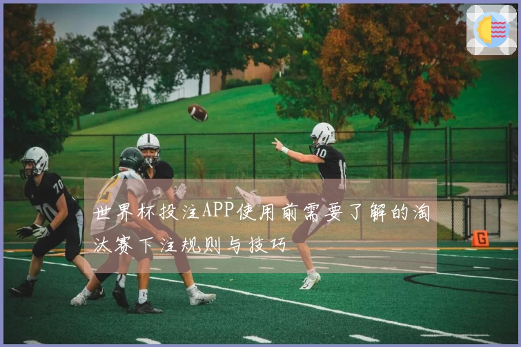 世界杯投注APP使用前需要了解的淘汰赛下注规则与技巧