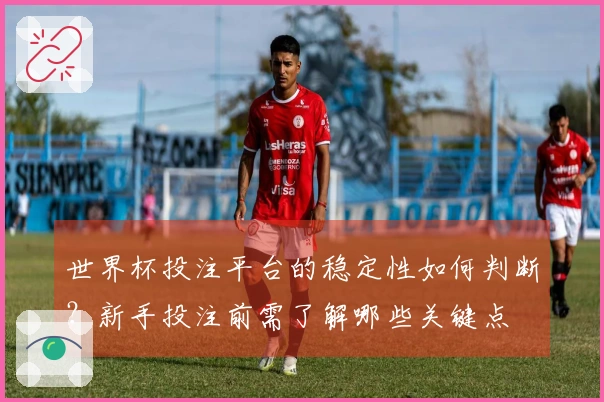 世界杯投注平台的稳定性如何判断？新手投注前需了解哪些关键点