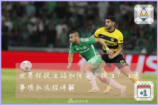 世界杯投注站如何安全投注？注意事项和流程详解