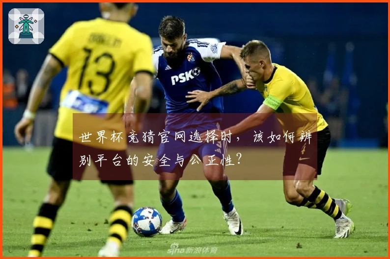 世界杯竞猜官网选择时，该如何辨别平台的安全与公正性？