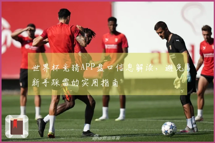 世界杯竞猜APP盘口信息解读，避免新手踩雷的实用指南