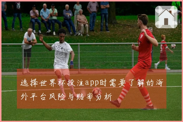选择世界杯投注app时需要了解的海外平台风险与赔率分析