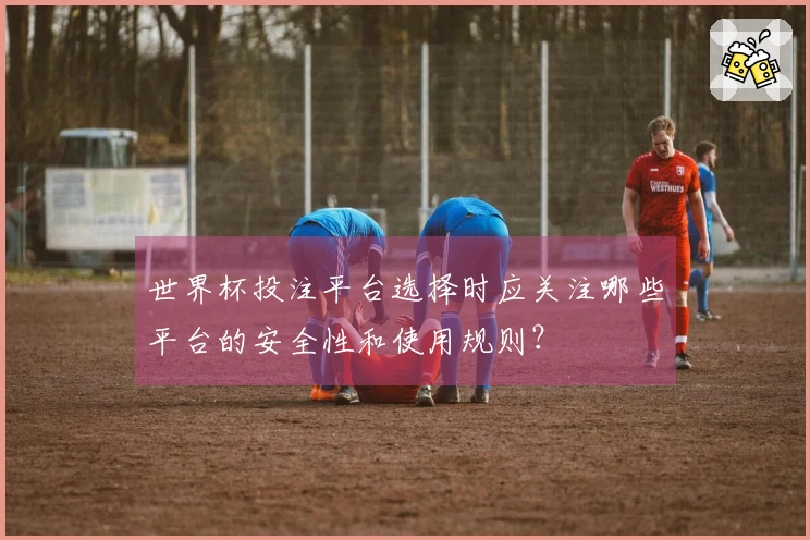 世界杯投注平台选择时应关注哪些平台的安全性和使用规则？