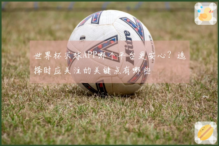 世界杯买球APP哪个平台更安心？选择时应关注的关键点有哪些