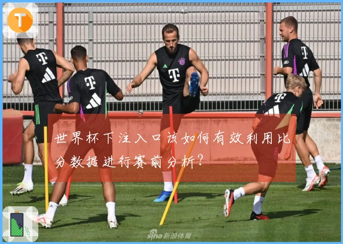世界杯下注入口该如何有效利用比分数据进行赛前分析？