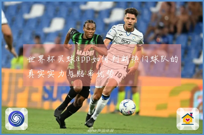 世界杯买球app如何判断热门球队的真实实力与赔率优势