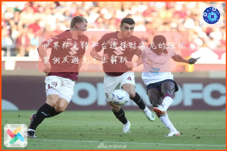 世界杯竞猜平台选择时常见的踩坑案例及避免方法解析
