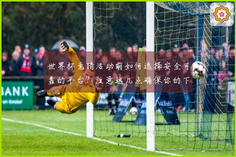 世界杯竞猜活动前如何选择安全可靠的平台？注意这几点确保你的下注无忧