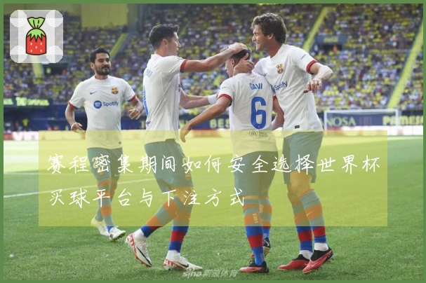 赛程密集期间如何安全选择世界杯买球平台与下注方式
