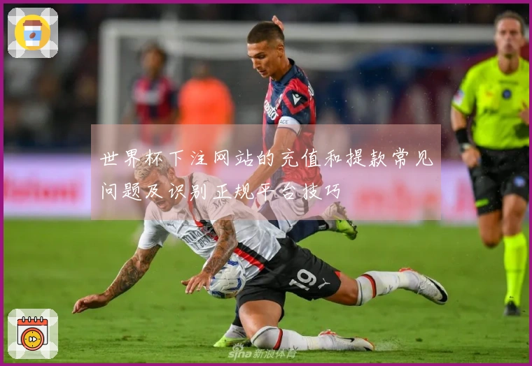 世界杯下注网站的充值和提款常见问题及识别正规平台技巧