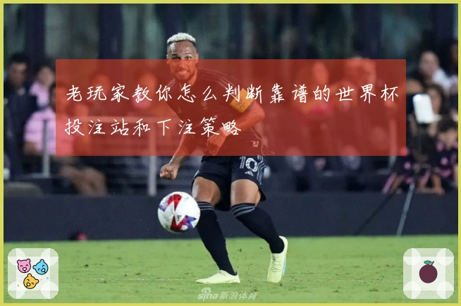 老玩家教你怎么判断靠谱的世界杯投注站和下注策略