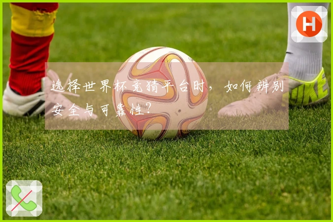 选择世界杯竞猜平台时，如何辨别安全与可靠性？